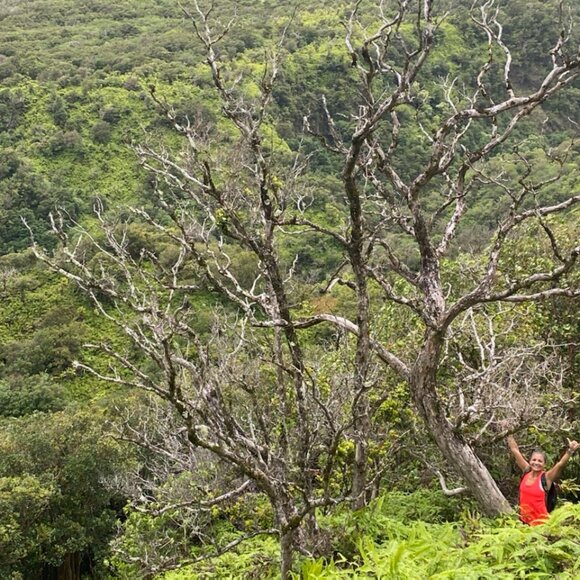 Mom from Maui making extra Cash! - Picture 2 of 3